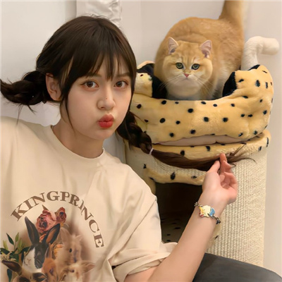 中国台湾伴游女生星晓莉的资料